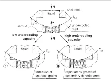 Figure 1-4 : En fonction  de la surfusion du  superalliage,  la  courbe  concave  de  l'isotherme  du  liquidus  peut  causer  (a)  la  formation  des  grains  parasites  à  une  surfusion  de  17°C  (low  undercooling)  au  niveau  de  la  plateforme  (vi