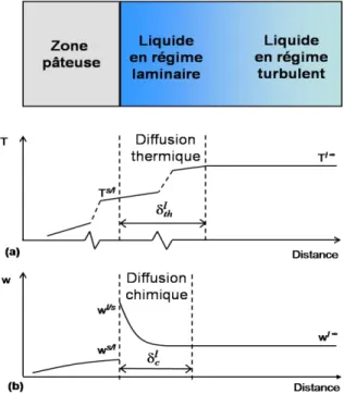 Figure  1-8  :  Profil  (a)  de  température  et  (b)  de  composition  en  solidification dirigée  d’un  alliage  binaire [Lesoult, 1986]