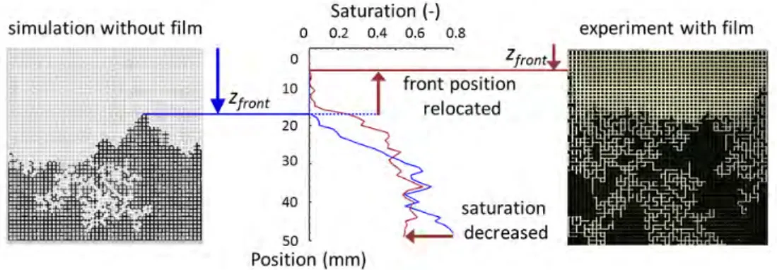 Figure  2‐28  Schematic  illustration  of  the  film  effect.  The  evaporation  front  position  is 