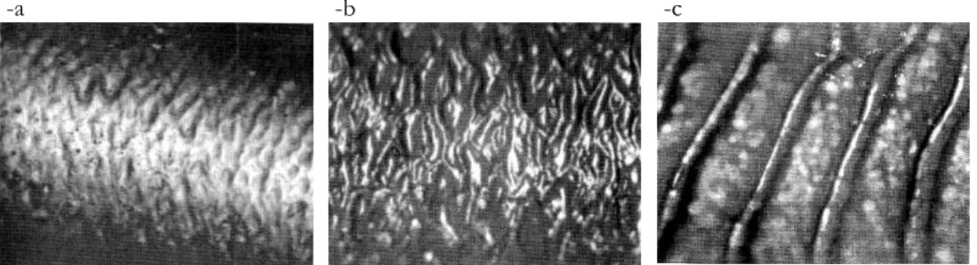 Fig. 1. 7 : Evolution de la surface d’un jonc extrudé à différents taux de cisaillement apparent, pour un  PEBDL à 205 °C