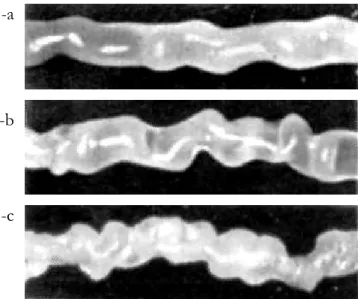 Fig. 1. 10 : Aspect d’un extrudat affecté du défaut chaotique, pour un PEBD, à 175 °C