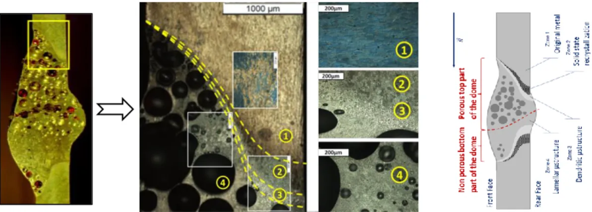 Figure 10 . Microscopic view of the plate structure at the boundary of the damage zone 