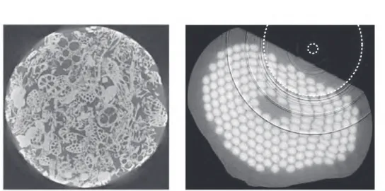 Figure 3.11: X-ray CMT common artefacts: beam hardening (left) which can be observed as the diﬀerence in gray level of the same material near the sample’s edge [ 231 ] and ring artefacts (right) appearing as concentric circles on the cross section of a sup