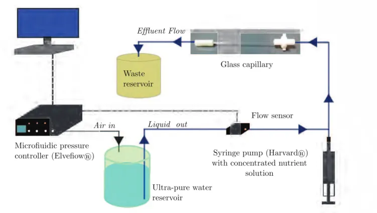 Figure 6.1: Fluidic circuit with which bioﬁlm was grown for 2 days at ﬁxed ﬂow rate. 6.3 Imaging protocol