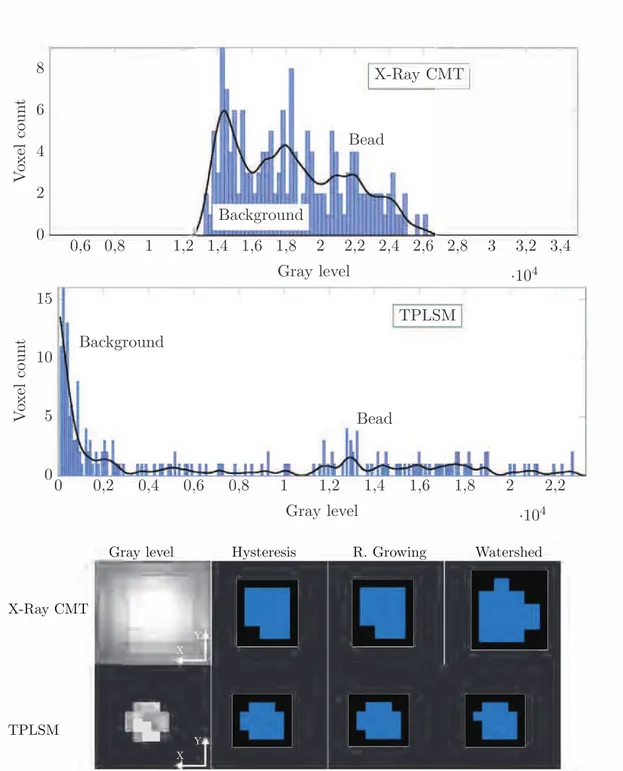 Figure 7.2: Top and middle: gray level histograms of a bead imaged by X-ray CMT and TPLSM respectively