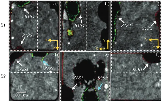 Figure 7.4: Visual comparison of TPLSM images superimposed on X-ray CMT stacks for two samples (S1 upper and S2 lower)