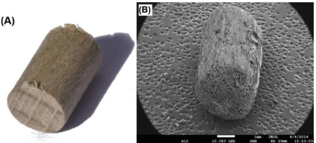 Fig. 1 – (A) beech stick particle (STI), (B) char (STI650) obtained by pyrolysis of beech stick at 650 ◦ C in a ﬂuidized bed reactor.