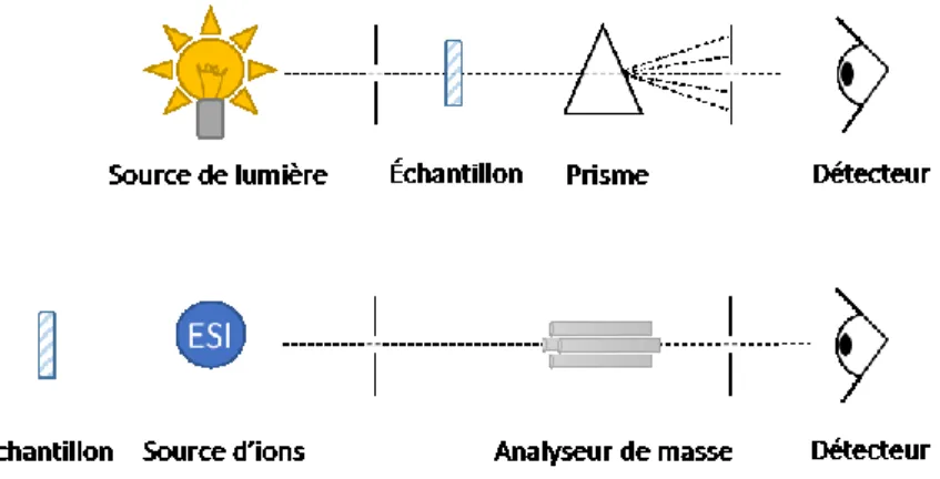 Figure 6. Comparaison de la spectrométrie de masse avec la spectrophotométrie. 
