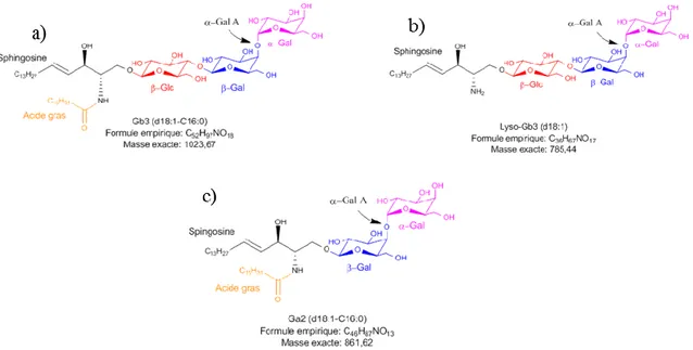 Figure 7. Structures chimiques et sites de clivage de l’α-Gal A: a) Globotriaosylcéramide, b)  Globotriaosylsphingosine, et c) Galabiosylcéramide.