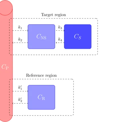 Figure 1.13.: Conﬁguration of the classic reference three-tissue kinetic model used in many imaging studies