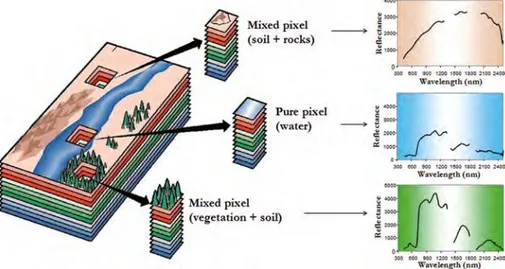 Figure 2.4.: An observed hyperspectral voxel is composed by the contributions of each material in the ﬁnal spectral response.