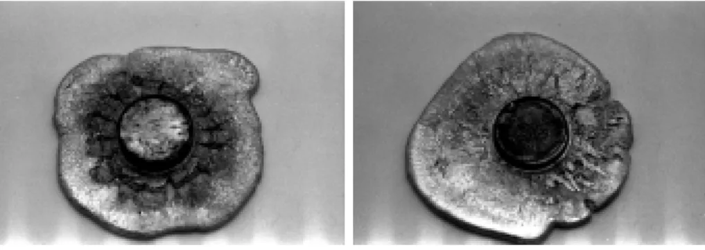 Fig. 3.10 { V ue des d efauts de sym etrie sur les premi eres s eries de pi eces inject es
