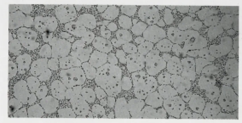 Fig. 3.12 { Microstructure d'un lopin d'A356 avant injection