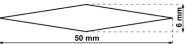 Figure 4 – Schematic view and dimensions of the wind  tunnel aileron 