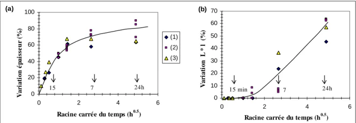 Figure III.2 Variations dimensionnelles du PA11 au cours de l'absorption de colle 