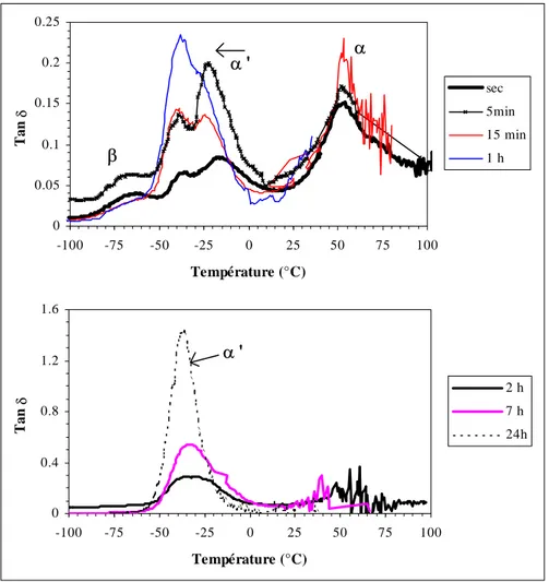 Figure III.6 Spectres DMTA des films pour plusieurs durées d'absorption 