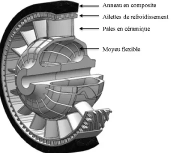 Figure 6 : Turbine en configuration renversée à moyeu flexible de l'Université de  Sherbrooke [18] 