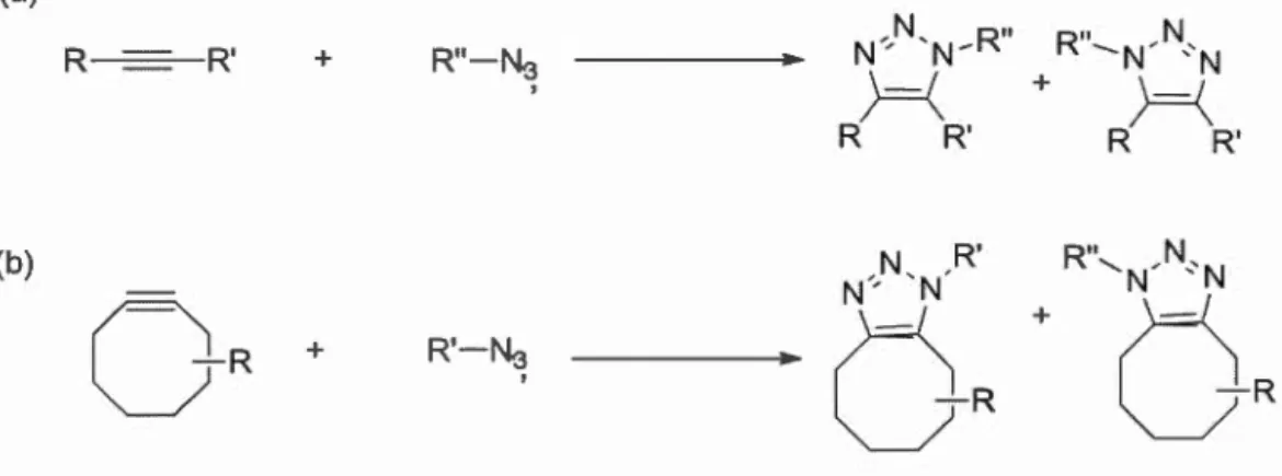 Figure 2.3  Cycloaddition dipolaire de Huisgen entre un azoture et un 