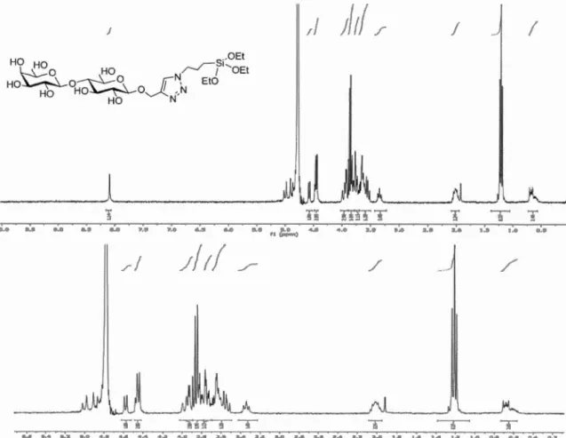 Figure  2.10  Spectre RMN  1 H (300 MHz,  D20),  du  composé 7 