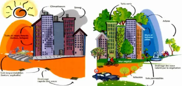 Figure  1.2  Illustrations des  conditions favorisant  les  îlots de  chaleur (à gauche) 