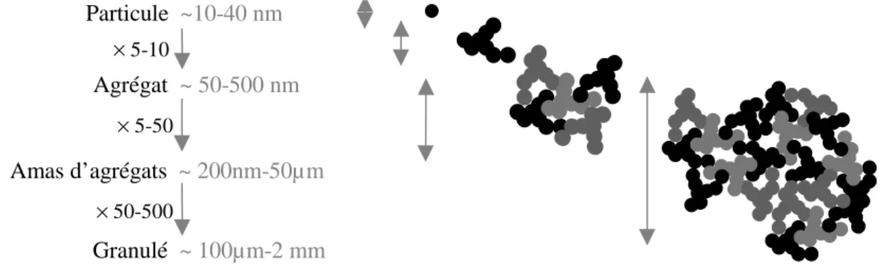 Figure 9 : Les différentes échelles de taille du noir de carbone [Collin (2004)] 