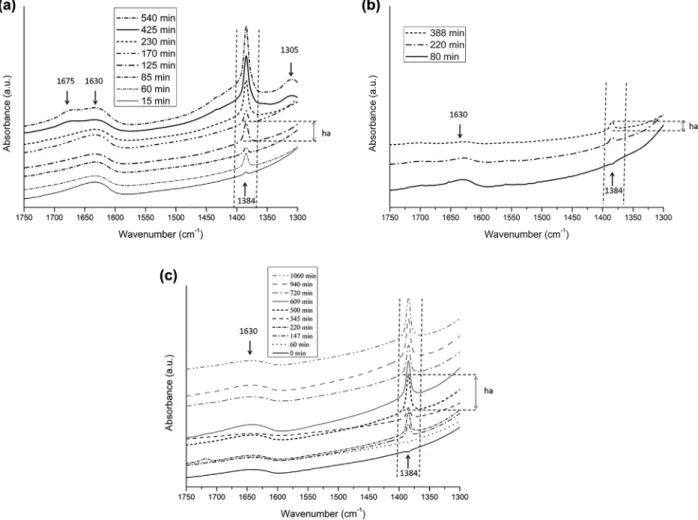 Figure 3. Evolution of FTIR spectra during ozone interaction with zeolite samples. (a) H MOR, (b) H FAU, and (c) Na MFI