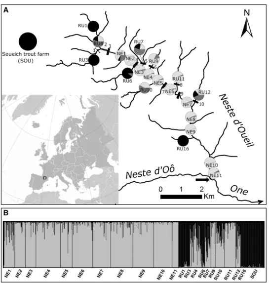 Fig. 1    a Maps representing 