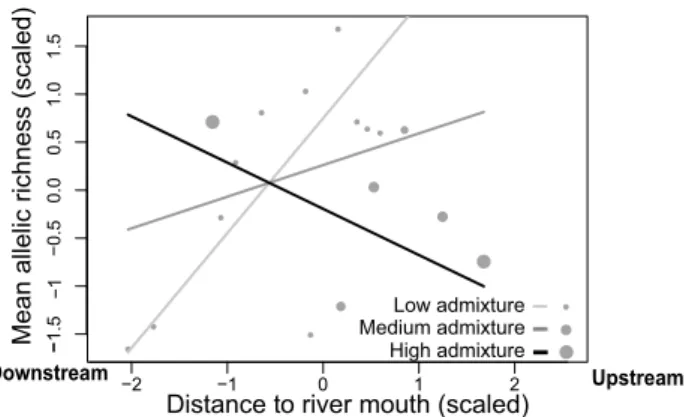 Fig. 2    Relationship between mean allelic richness and distance to the  river mouth, depending on mean level of admixture at each site