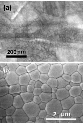 Figure 1 SEM images of a dense alumina nanoparticles sub- sub-jected to SPS for 3 min at 100 MPa and 1200 °C