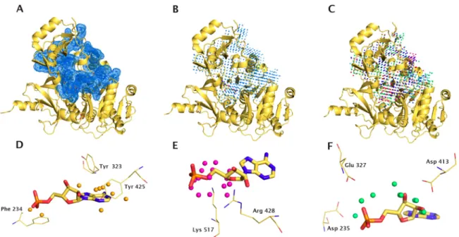 Figure 2.1 – MIF representation for gramicidin synthetase 1 bound to AMP 