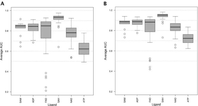 Figure 2.4 – Boxplot of the performance for the Soippa dataset 