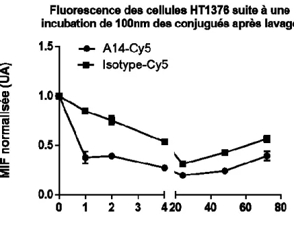 Figure  6. Fluorescence comparative  entre A14-Cy5  et Isotype-Cy5 pour  l’étude de la  spécificité des conjugués 