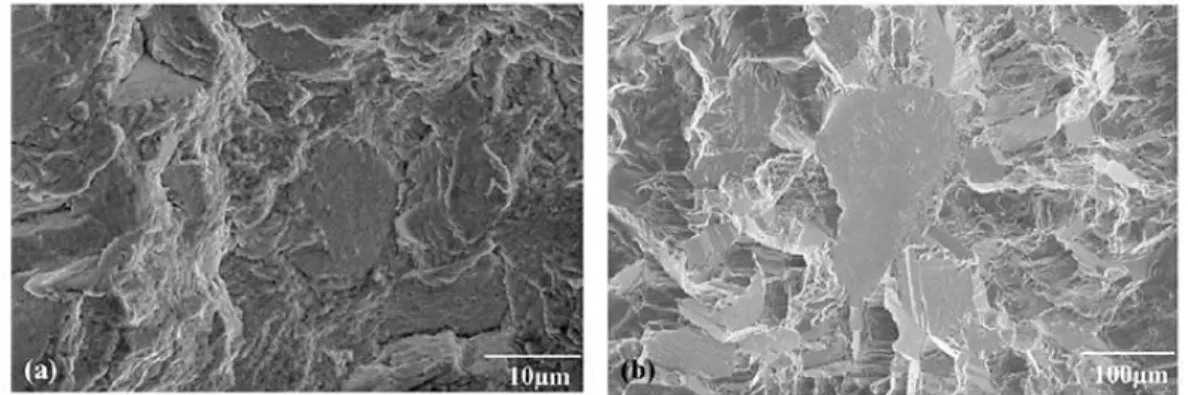 Figure 2-40 : Images MEB des sites d’amorçage de fissures en fatigue d’un alliage Inconel 718 (a) pour  un matériau présentant une taille de grains moyenne de 10 µm (Nf = 4,76 x 10 6  cycles) et (b) pour un  matériau présentant une taille de grains moyenne