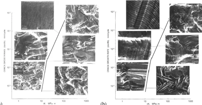 Figure 2-43 : Morphologies de la surface de rupture pour différentes valeurs de ΔK (a) pour des petits  grains (diamètre moyen autour de 30 µm) et (b) pour des gros grains (diamètre moyen autour de 80 µm) – 