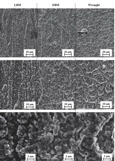 Fig. 9. SEM micrographs of external oxide layer morphology on ground surfaces after air oxidation at 850 °C for 1000 h, on (XZ) plane, LBM vs EBM vs wrought.