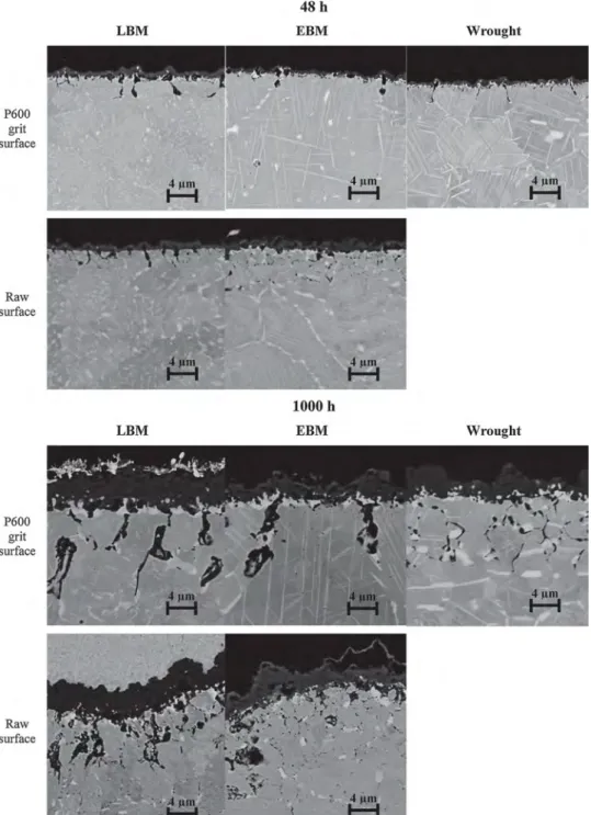 Fig. 10. SEM-BSE micrographs of the cross-section of oxidized LBM, EBM and wrought samples in the (XY) plane oxidized 48 h in synthetic air and 1000 h at 850 °C in static lab air.