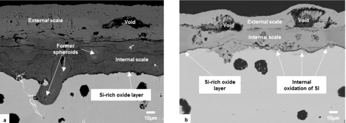 Figure 6:  Back-scattered electrons SEM images of oxide scales on samples DAHA_700C (a)  and HADA_700C (b)