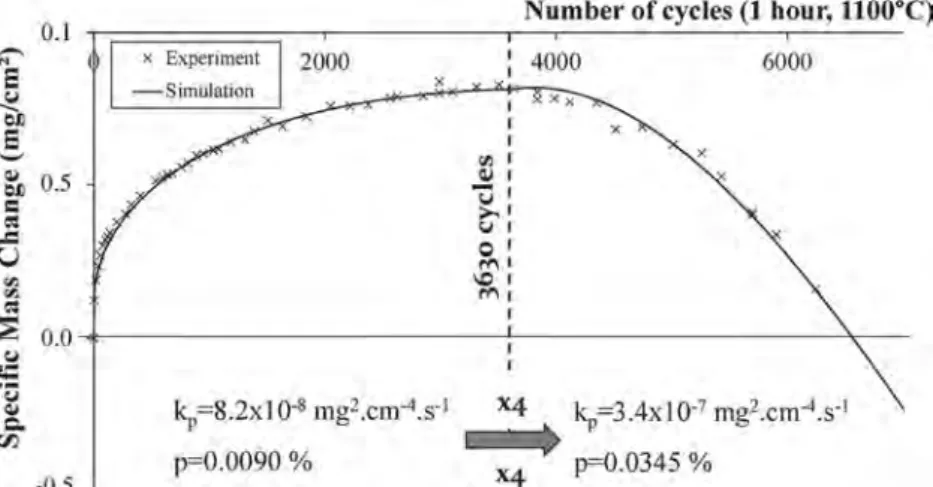 Fig. 4. Example of a model ﬁtting of the experimental data of the uncoated AM1 doped in hafnium after 6000 cycles at 1100 °C.