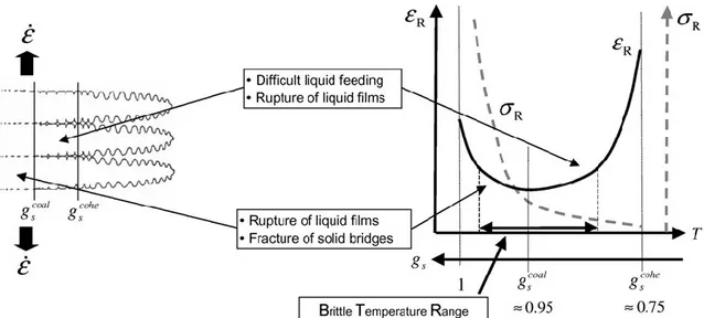 Figure 5 Schematics of the main phenomena occurring in the mushy zone at characteristic solid 