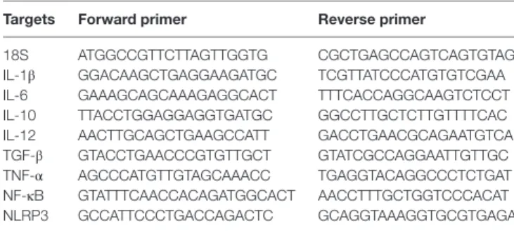 TABLE 1 | Terminal primers used for qPCR analysis.