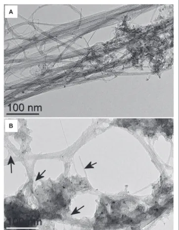 FIGURE 2 | Transmission electron microscopy (TEM) images of pristine and  carboxymethyl cellulose-coated carbon nanotubes (CMC-CNTs)