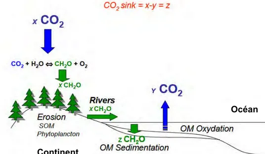 Figure 1 : Schéma global du devenir des matières organiques transportées par les fleuves vers les 