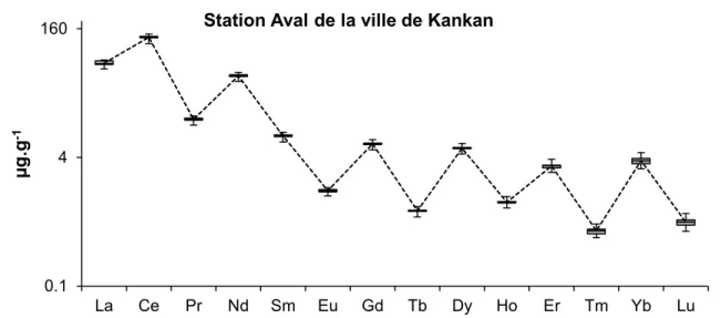 Figure 41 : Valeurs minimales et maximales des concentrations en REE des sédiments de la station 