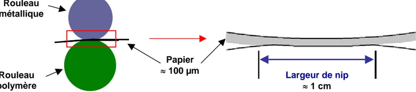Figure 1.6 : Représentation schématique du passage d’un papier dans un nip de calandre 