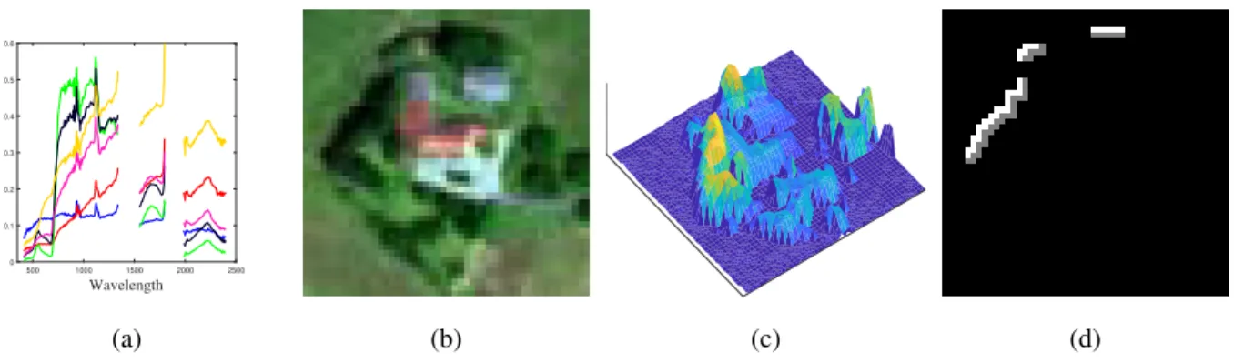 Fig. 5: Real image: (a) Endmember spectra extracted from the hyperspectral image. (b) Color composition of the real hyperspectral image