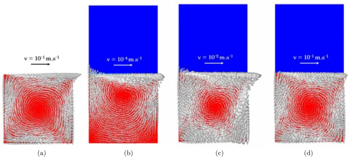 Figure 4.6 – Vecteurs vitesse ~v calculés dans la cavité entraînée pour les modèles (a) sans LS, (b) avec LS et une viscosité du gaz de η g = 10P a.s, (c) avec LS, une viscosité du gaz de η g = 10P a.s, et
