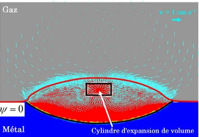 Figure 3.18 – Champ de vitesse ~v solution de la résolution des équations de Navier-Stokes (éq.(3.19)).