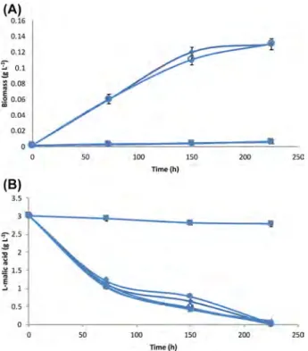 Figure 1. Growth (A) and malic acid consumption (B) kinetics of O. oeni Vitilactic