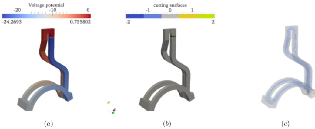 Figure II.12: Example of the two cutting surface approach for computing conform- conform-ing current sources; cuttconform-ing surfaces (a), voltage potential (b) and streamlines of the source current (c)