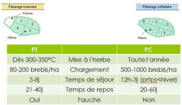 Tableau 3 : Comparaison des principales caractéristiques d’un type de pâturage cellulaire et d’un système  classiquement utilisé en France, le pâturage tournant (d’après Matthieu Vaillant de Guelis (2016)) 